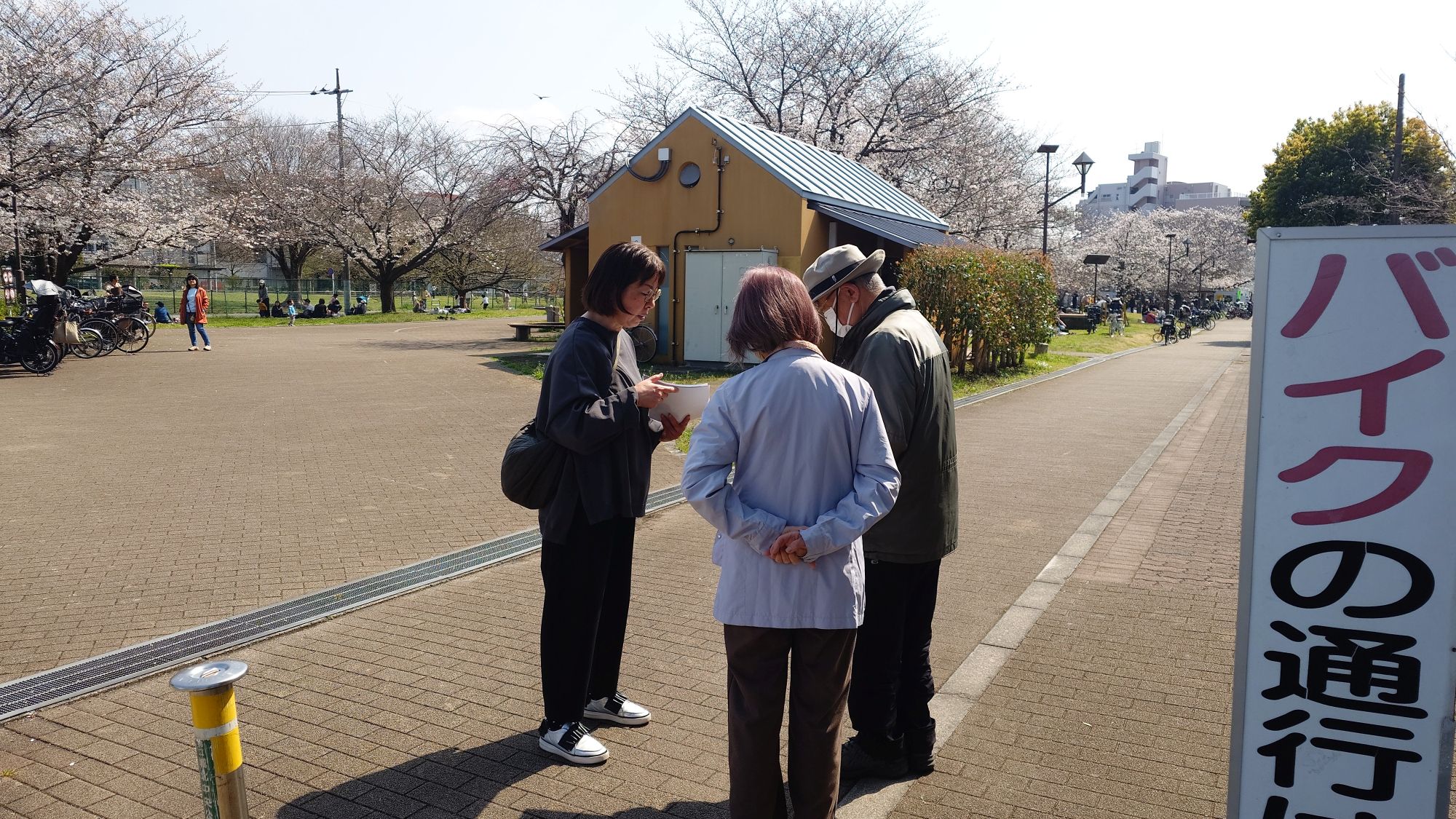 城北公園ミモザ広場にて